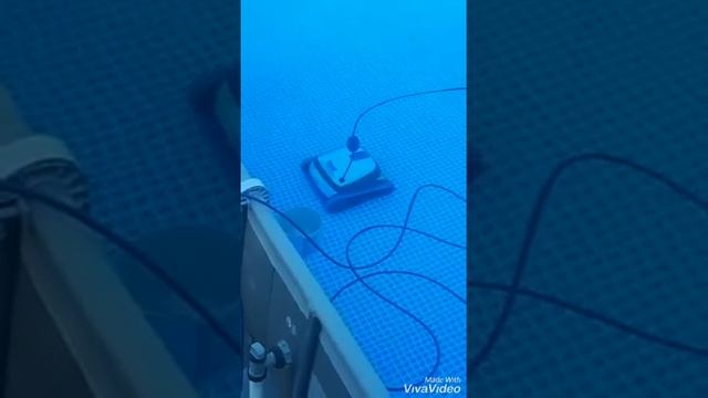 Dolphin S100 смотреть онлайн