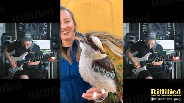 Kookaburra Call Metal Remix | RIFFIFIED смотреть онлайн