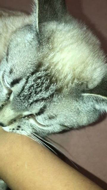 3 января 2024 г. смотреть онлайн