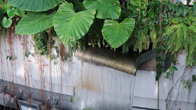 The green planet dubai смотреть онлайн