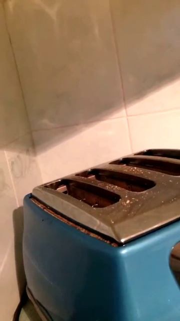 Toaster Cam Episode 2 Visitation From A Cat смотреть онлайн