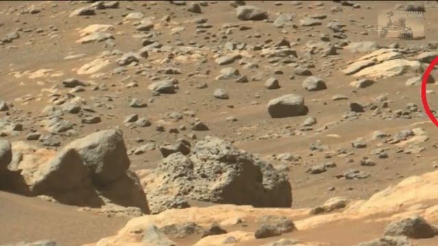 Марсоход ПЕРСЕВЕРАНС @ сфотографировал металлический объект на Марсе. смотреть онлайн