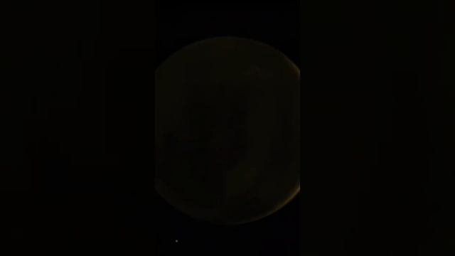 Sedna смотреть онлайн