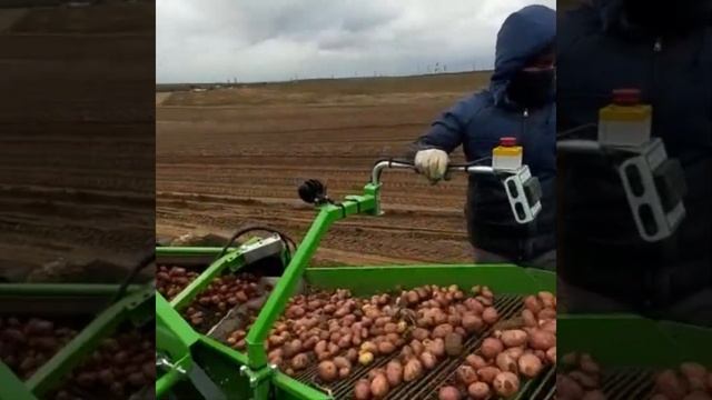 Картофелеуборочный комбайн Колнаг, 2х рядный с боковым сдвигом смотреть онлайн