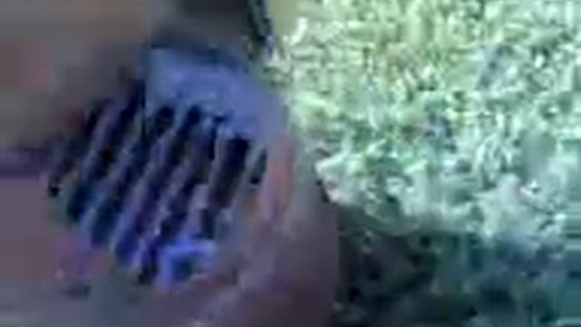 Сковорода из диска бороны и печь часть 2 смотреть онлайн