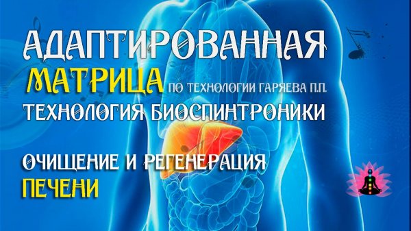 Очищение и регенерация печени 🎶 программа матрица по технологии Гаряева П.П ☀️ SoftRadio.ru