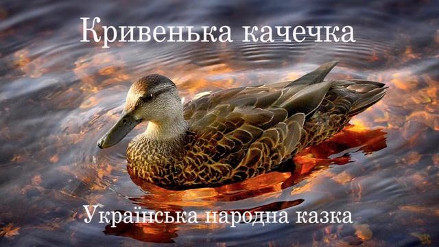 Кривенька качечка. Українська народна казка. Казка на ніч. #ЧитаєЮрійСушко смотреть онлайн