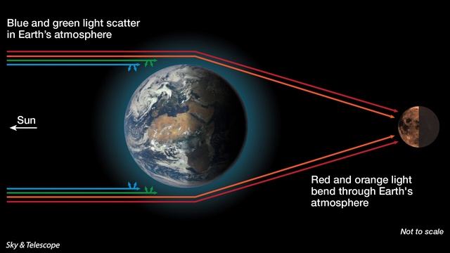 Total Lunar Eclipse - November 8, 2022 смотреть онлайн
