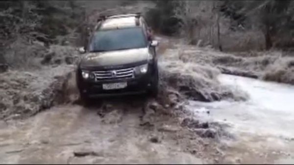 Дастер в лесу