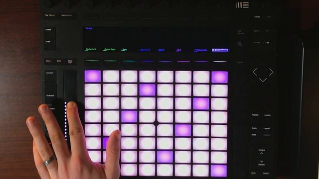 Ableton Live Looping Jam | Walrus Audio D1 Delay смотреть онлайн