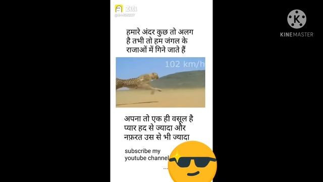 Whatsapp status Tiger's speed is 102 km/h смотреть онлайн