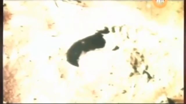 Почему каждый раз НЛО исчезают? Мулдашев. смотреть онлайн