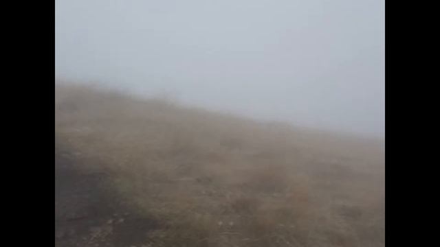 Бештау 26/03/2016 смотреть онлайн