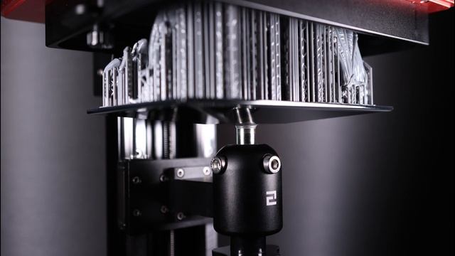 Elegoo Saturn - Baalzrodan The Demon King - Time Lapse