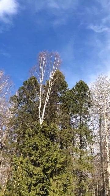 Апрельское небо / Добрянка Пермский край /Природа Урала смотреть онлайн