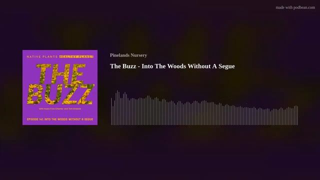 Native Plants Healthy Planet Episode 141 - The Buzz - Into The Woods Without A Segue