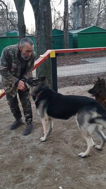 ОГРОМНЫЙ ВЕО РЭЙ и его ДРУЗЬЯ. Одесса. смотреть онлайн