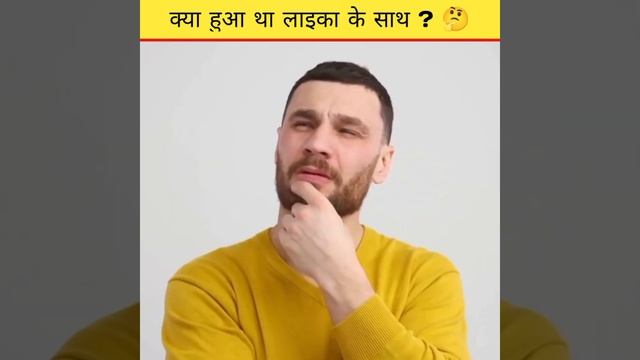 क्या हुआ था लाइका के साथ ? 🤔 || Story of Laika The Space Dog 😨 #shorts смотреть онлайн
