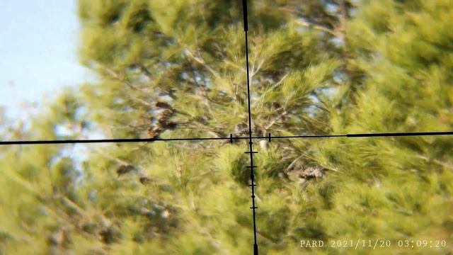 Pard NV007S Day and Night Vision Clip On Camera For Rifle Scopes смотреть онлайн