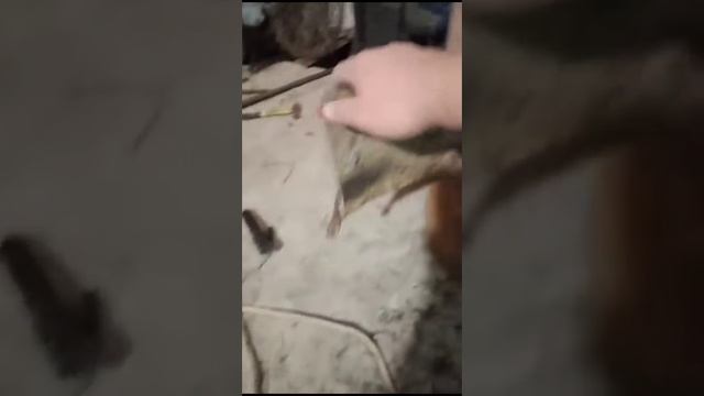 Печь из немецкой бочки 1я часть. смотреть онлайн