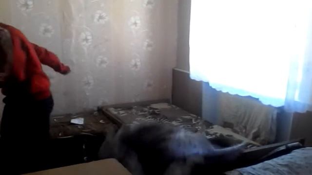 Как ро) смотреть онлайн