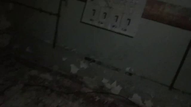 Командный пункт СССР в лесу.