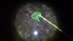 ЛОВИМ КРАБОВ В ЧЁРНОМ МОРЕ РУКАМИ! ЖЕНЁК И ВАНЁК ПЕРВЫЙ РАЗ ПРОБУЮТ КРАБОВ! ЧТО РЫБУ МЫ ПОЙМАЛИ!?