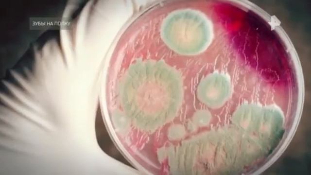 ТАЙНЫ ЧАПМАН 05 10 2020 смотреть онлайн