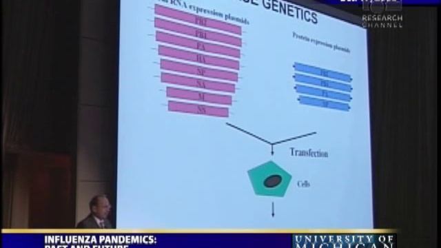 Influenza Pandemics: Past and Future смотреть онлайн