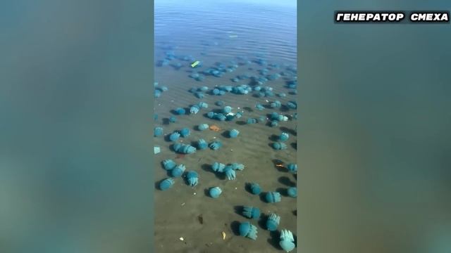 Я РЖАЛ ДО СЛЕЗ 😂 16 Минут ОТБОРНЫХ Русских приколов 2024 Смешные видео - ЛУЧШИЕ ПРИКОЛЫ! 😂