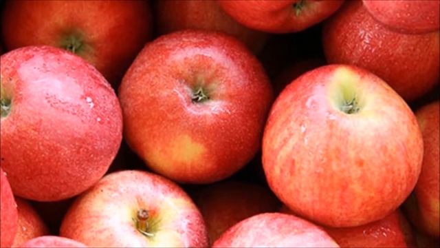 What To Eat To Lose Weight Fast : 35 Superfoods For Weight Loss смотреть онлайн