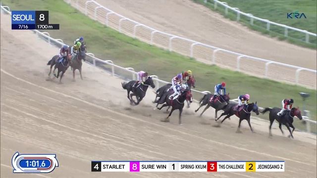 (Seoul) 2023.07.16 R8 Class 3 (1700M) Special Weight B смотреть онлайн