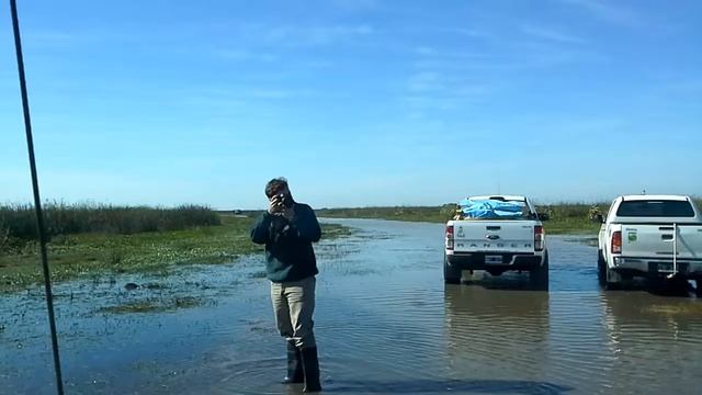 Marsi Y Su Lucha Contra Los Temibles Yacares