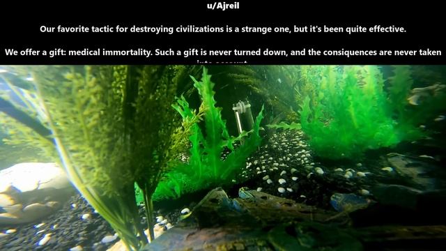 You ain't seen nothin & Death by Immortality & Humans are up to the challenge | Best of r/HFY | 190 смотреть онлайн