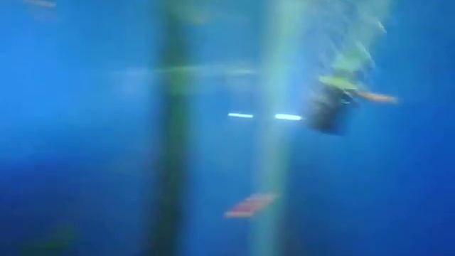 SUB-112 test смотреть онлайн