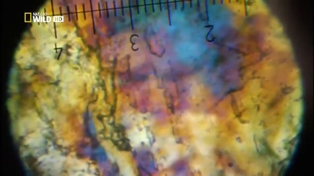 В недрах Земли | С точки зрения науки смотреть онлайн