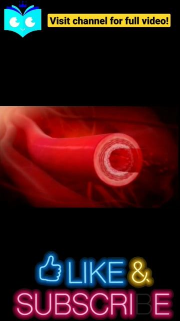 Blood pressure by study animated #biology #science #3d #neet2023 #shortvideo #shorts смотреть онлайн