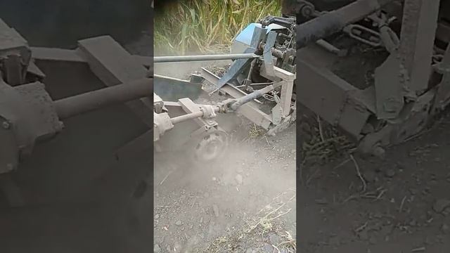 Копка картошки 2020. смотреть онлайн