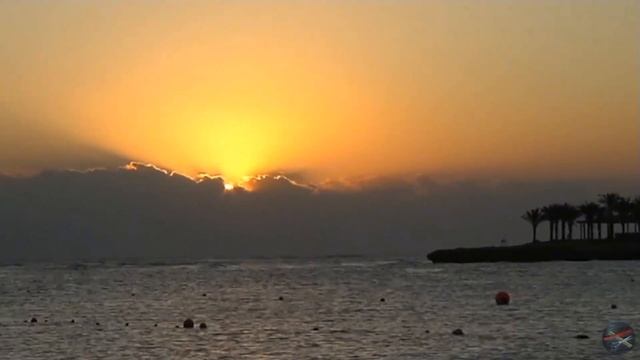 Brayka Bay. Marsa Alam .Egypt .Red Sea. смотреть онлайн