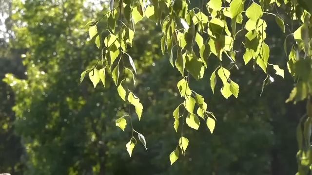 "Ребёнок". Мистическая история. смотреть онлайн