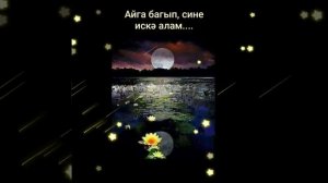 Хәерле кич дусларым, якыннарым! Ирек Сагитов җырлый 🎼