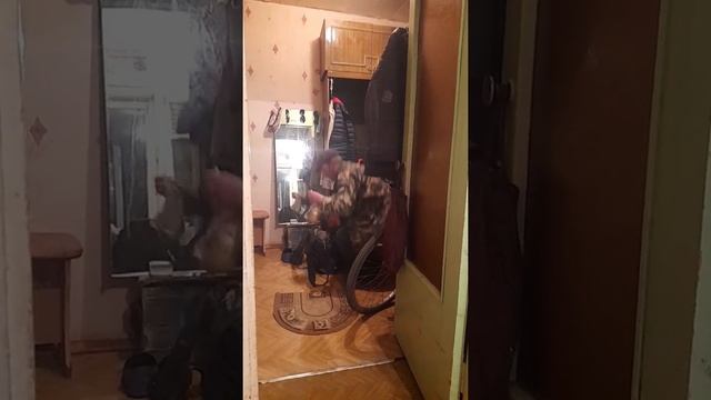 влог вот так карась смотреть онлайн