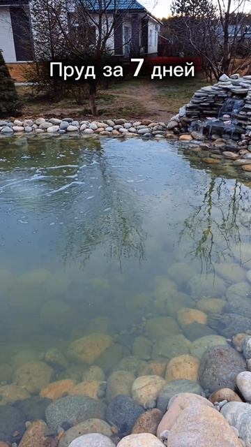 Пруд для дачи | садовый пруд | строительство прудов смотреть онлайн
