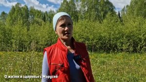 УДИВИТЕЛЬНЫЕ СВОЙСТВА ОДУВАНЧИКА КОМУ ЗАМЕНИТ ТАБЛЕТКИ КАКОЙ ОДУВАНЧИК ЯД  ЗДОРОВЬЯ@natureMarusya