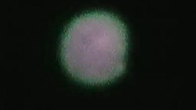 M2U00115.MPG смотреть онлайн