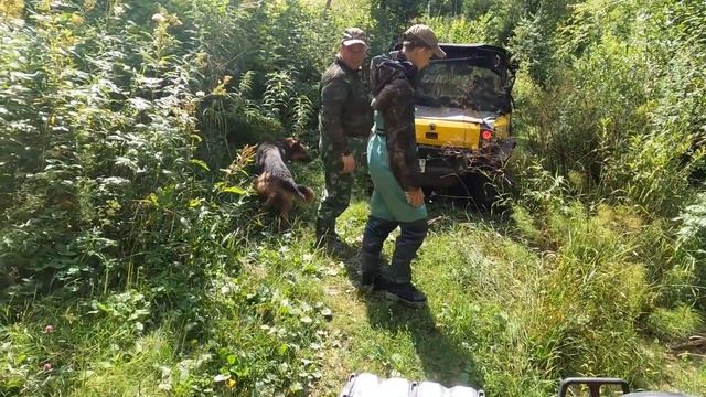 Лайт Покатушки! Новые маршруты! Лес! смотреть онлайн