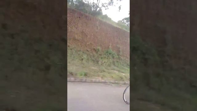 Começou a brincadeira , volta de Teotônio 117 km смотреть онлайн