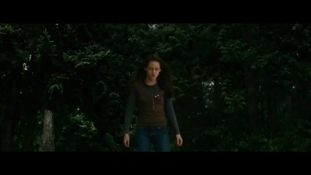 Edward's And Bella's Love Story