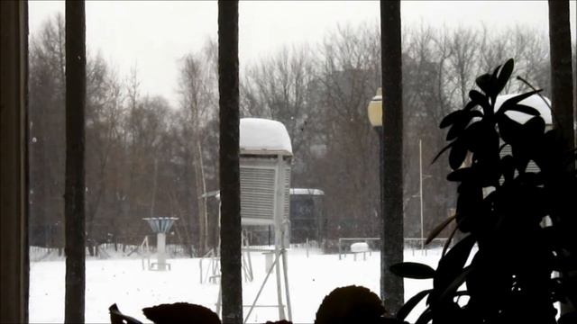 21.02.2021 | Снегири, Солнце и снег | Один день на метеостанции смотреть онлайн