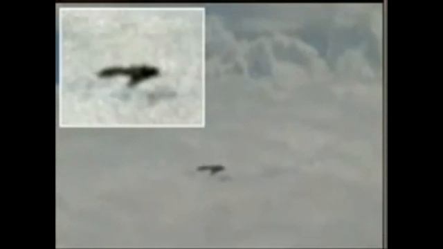 дайджест нло ufo октябрь 2020 смотреть онлайн